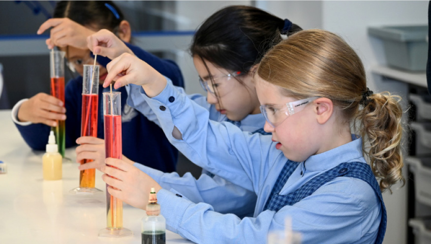 eNews Week 4, Term 3 2025