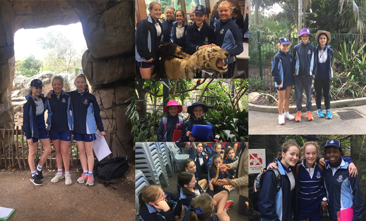 W8 Year 7 Zoo Excursion