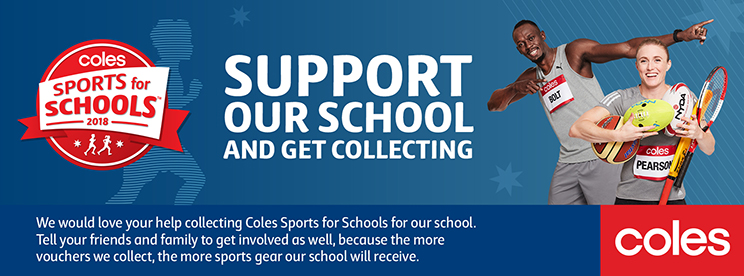 W3 Sports for Schools